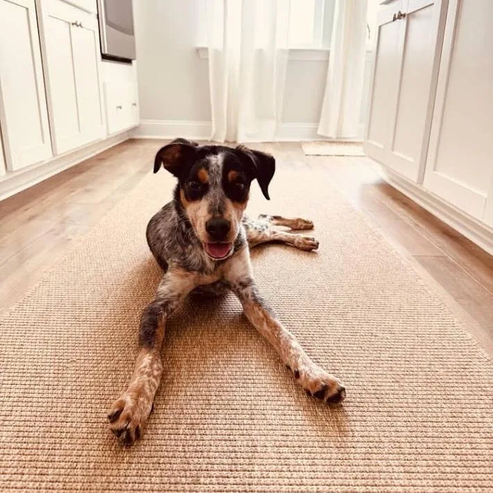 Roo
