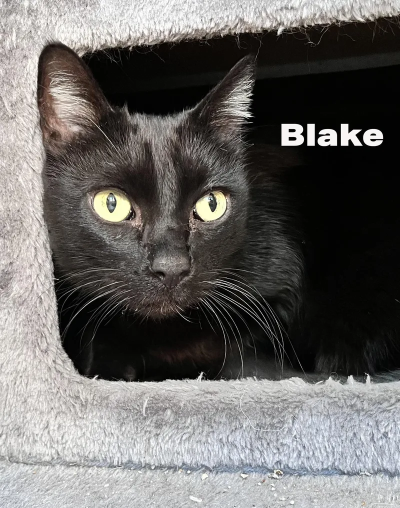Blake