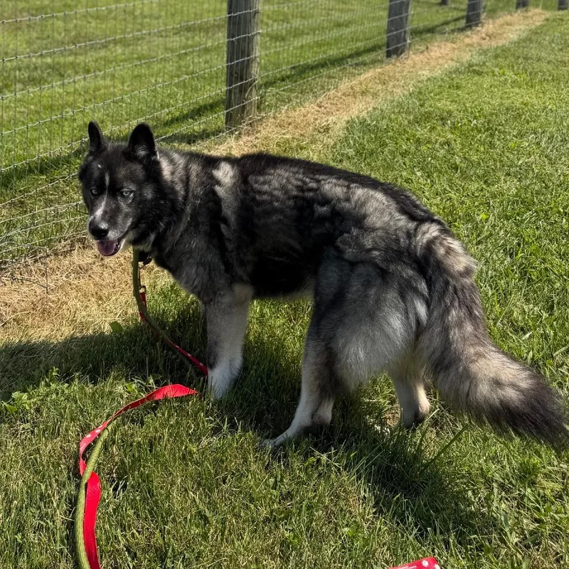 Jax