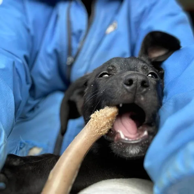 Satellite thumbnail 2