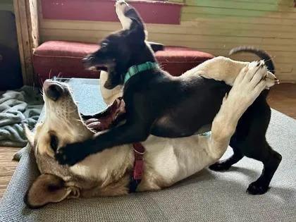 Satellite thumbnail 3