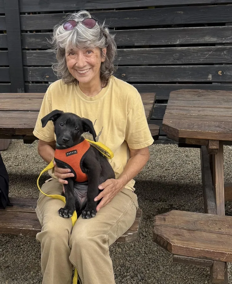 Satellite thumbnail 4