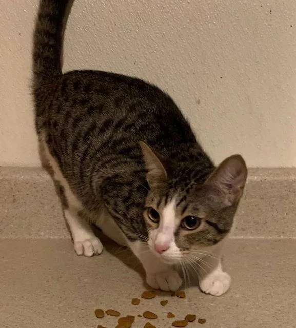 Sebastian thumbnail 2