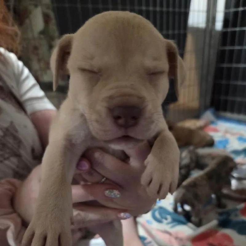 Mercedes thumbnail 3