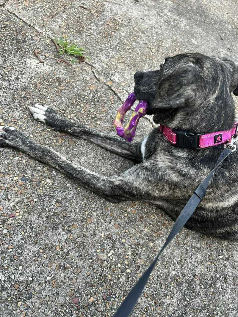 Precious thumbnail 2