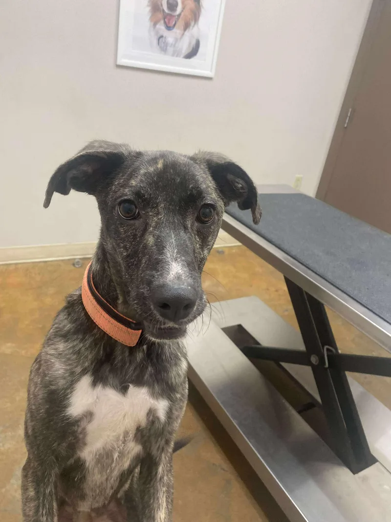 Precious thumbnail 3