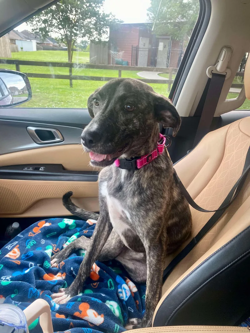 Precious thumbnail 4