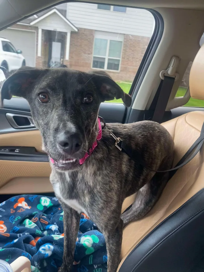 Precious thumbnail 5