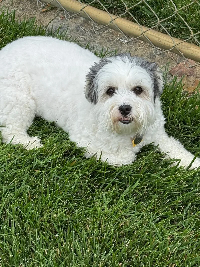 Maggie Mae thumbnail 2
