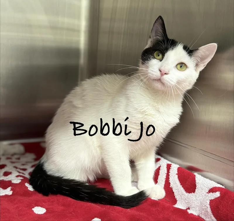Bobbie Jo thumbnail 2
