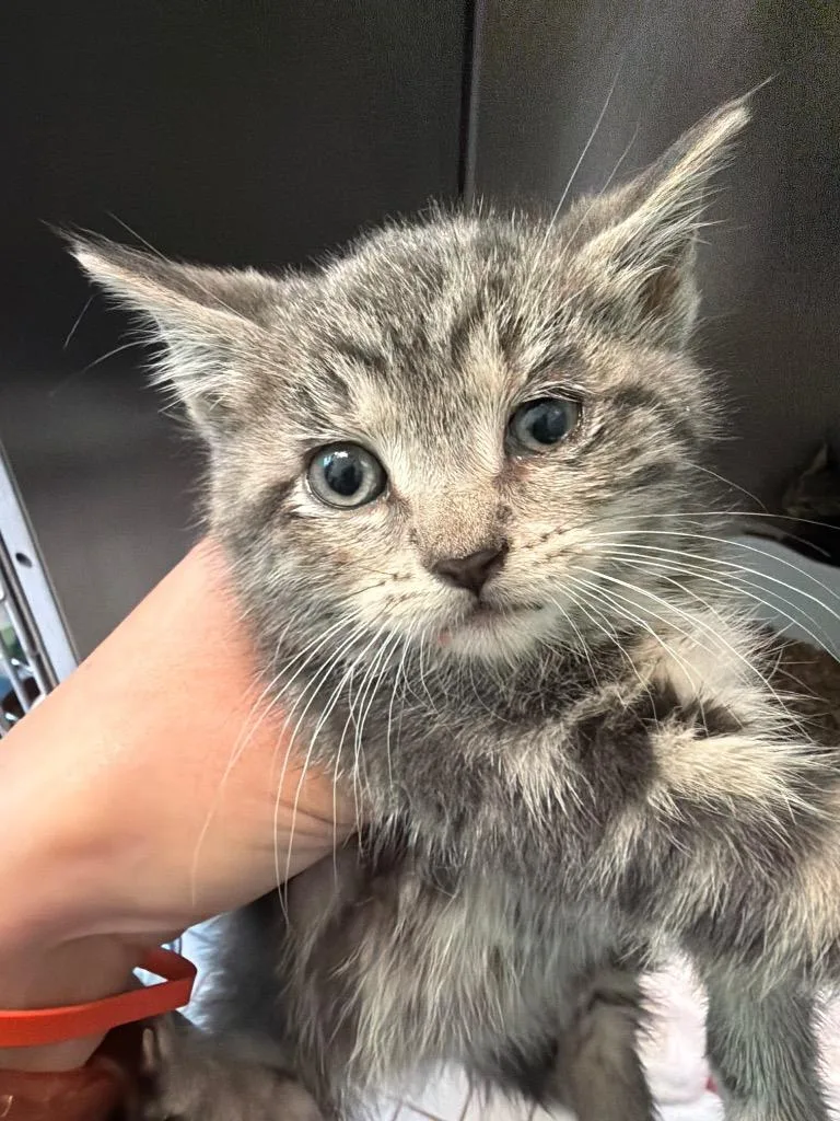 Sabrina thumbnail 2