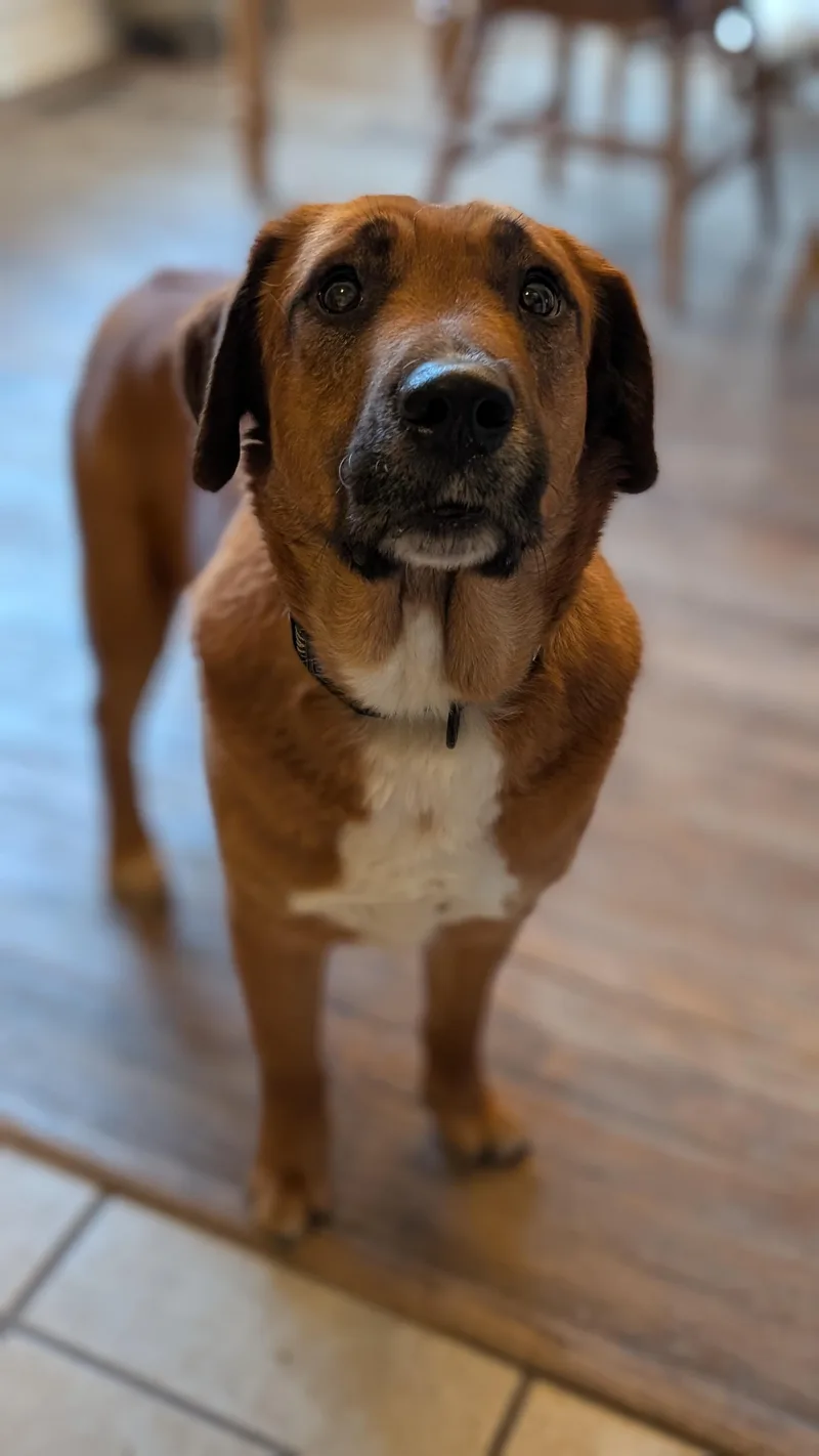 Twizzler thumbnail 2