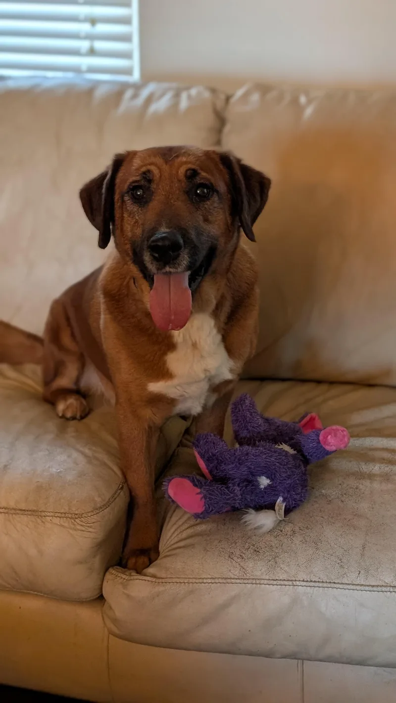 Twizzler thumbnail 3