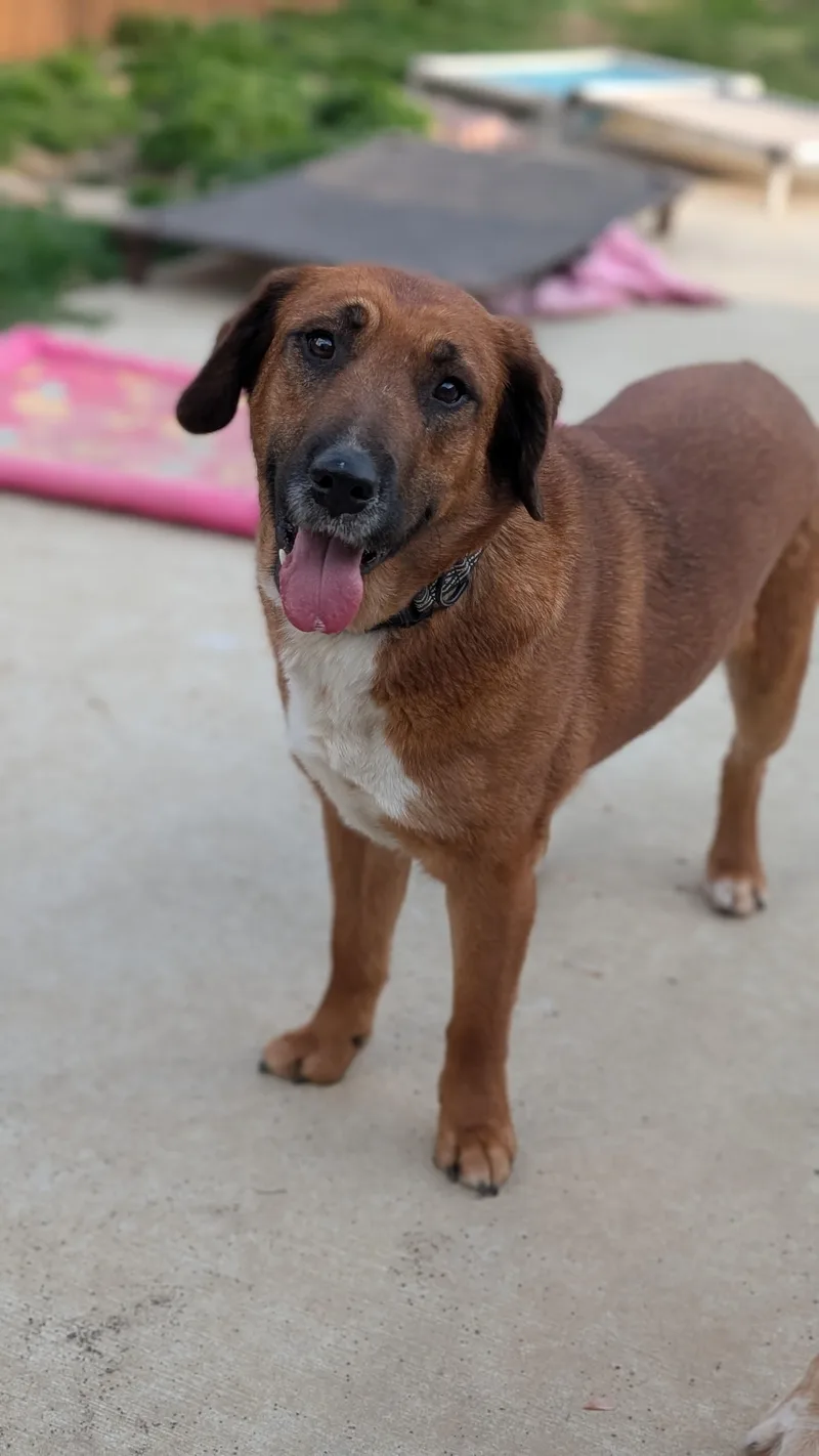 Twizzler thumbnail 4