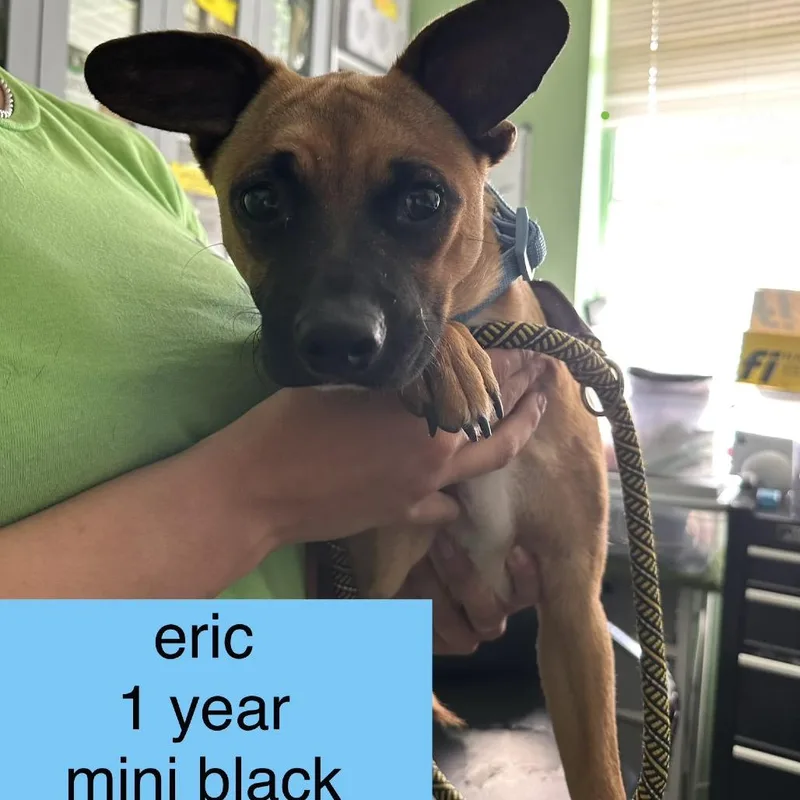 Eric