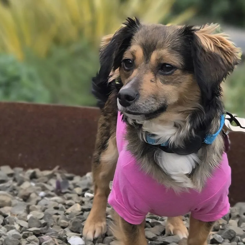 Caroline thumbnail 3