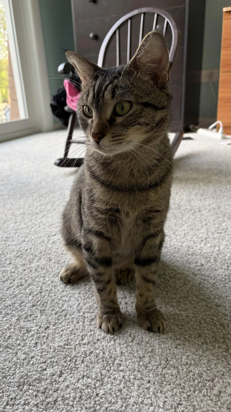 Bubbs