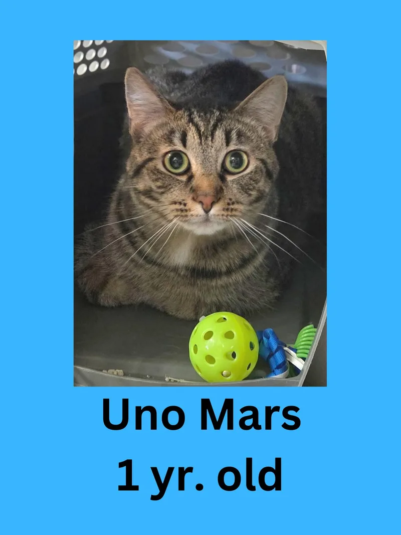Uno Mars