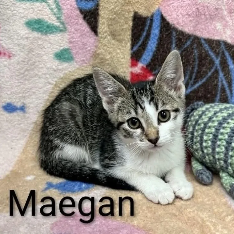 Maegan thumbnail 2