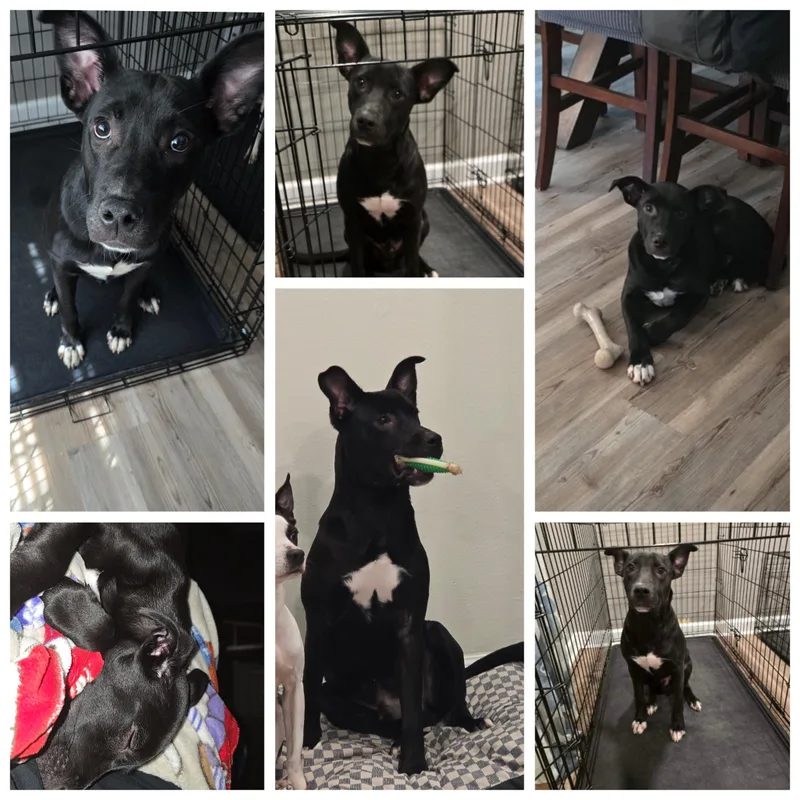 ~courtesy ~ Gunner thumbnail 2