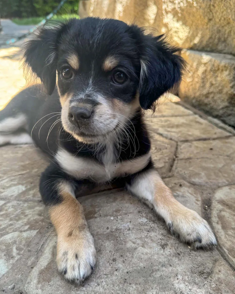 Mannuela thumbnail 2