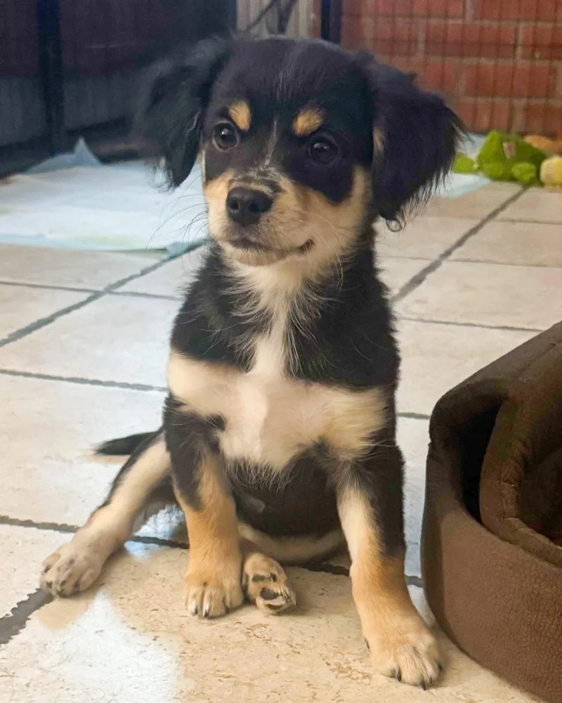 Mannuela thumbnail 3