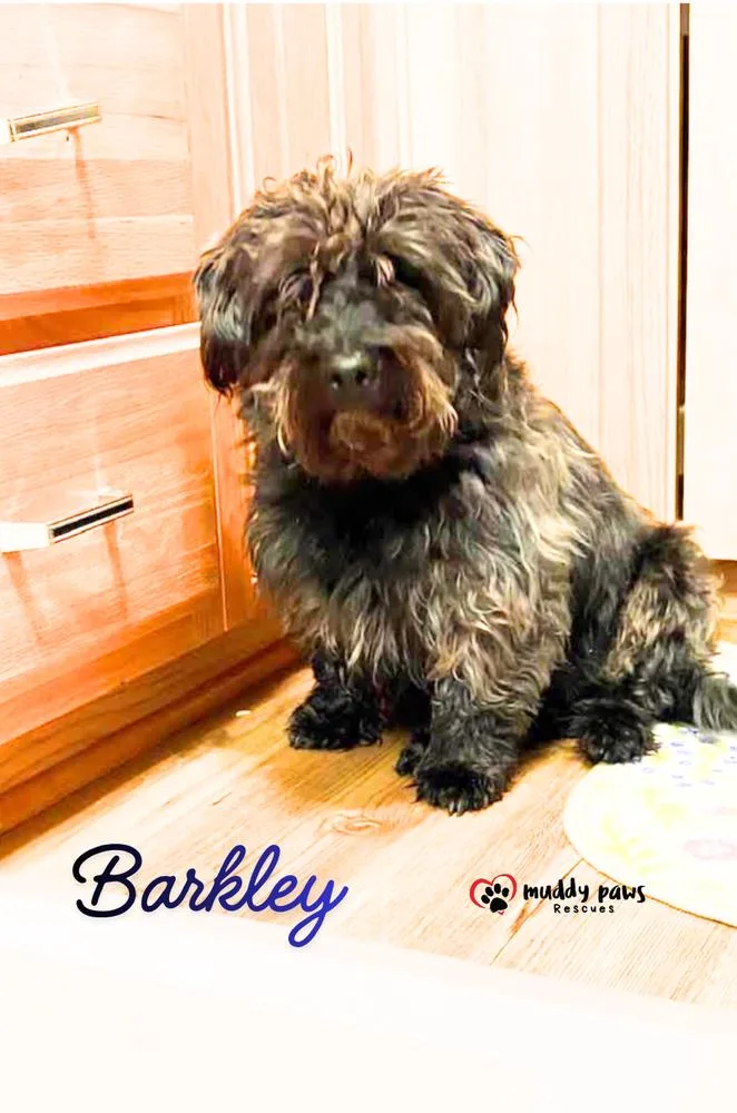 Barkley