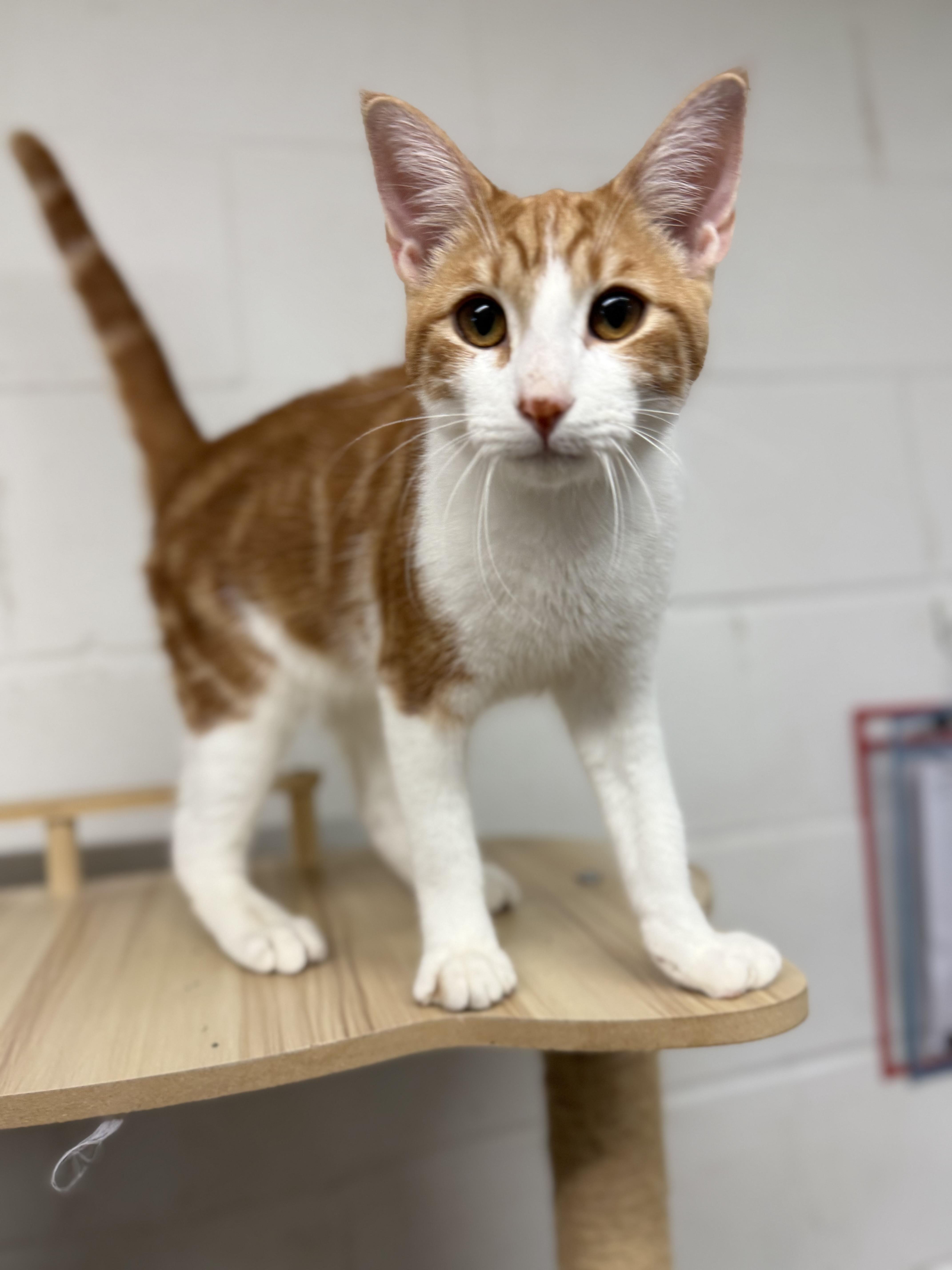 Dean & Castiel thumbnail 2