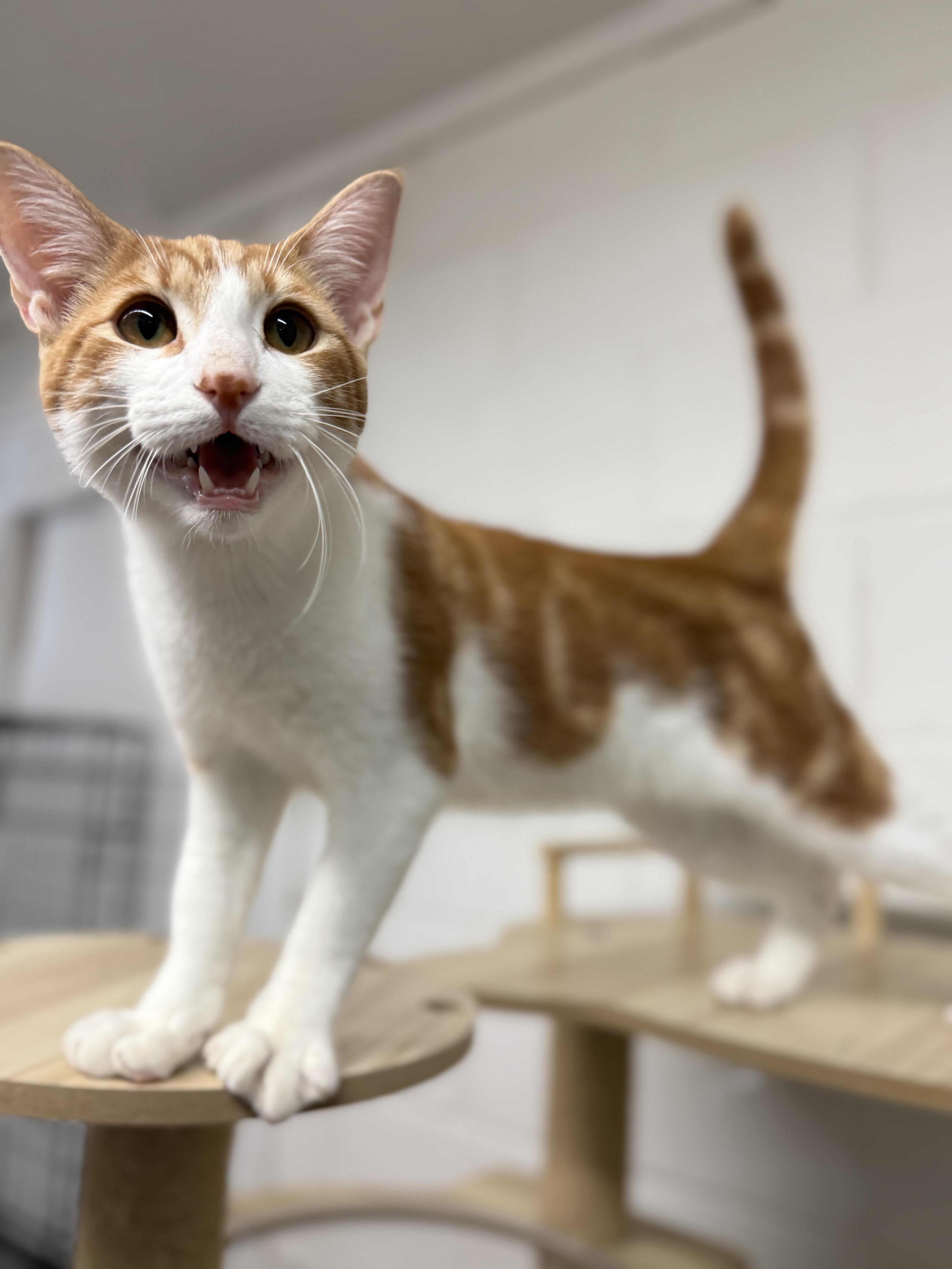 Dean & Castiel thumbnail 3