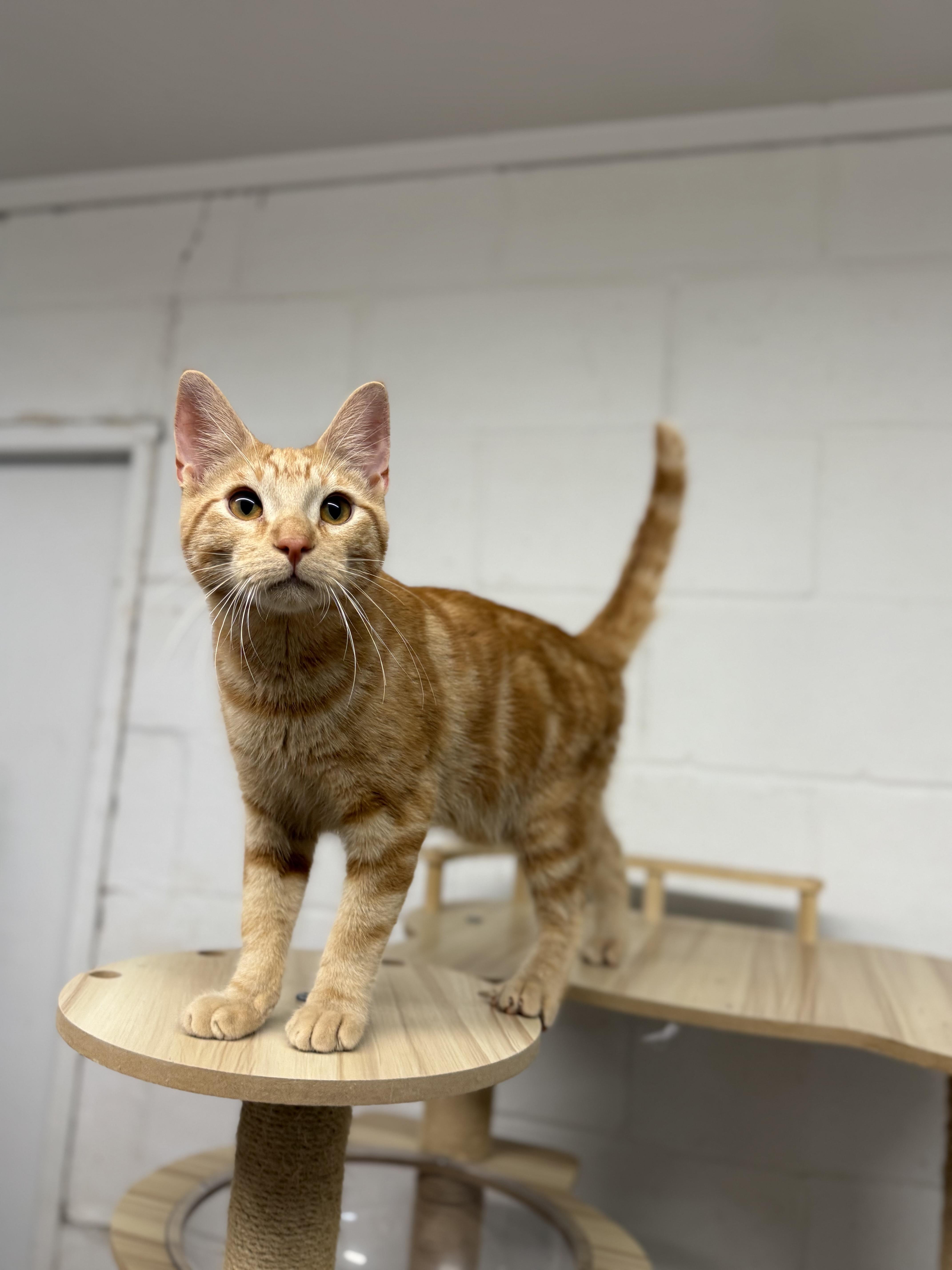 Dean & Castiel thumbnail 5