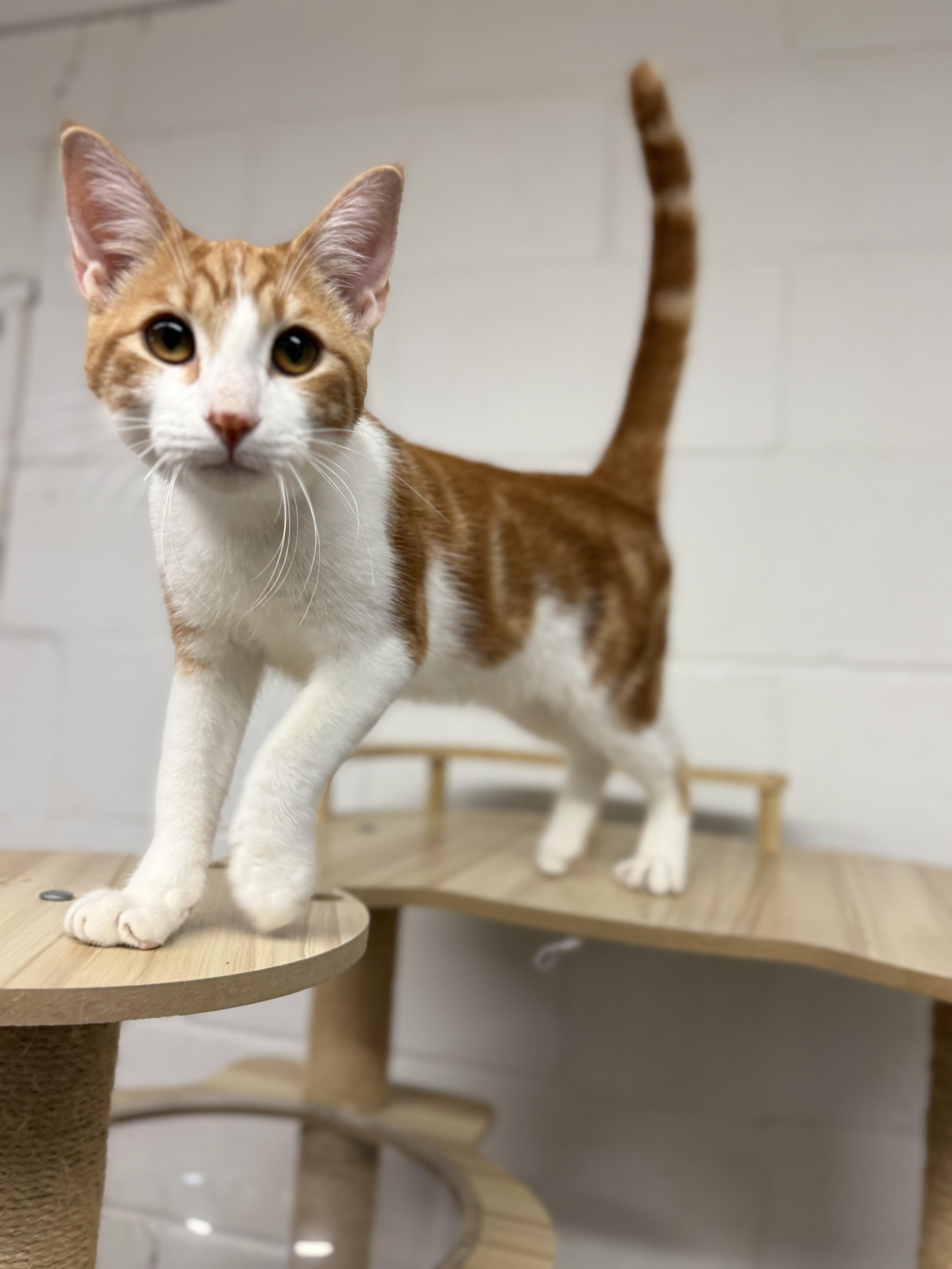 Dean & Castiel thumbnail 6