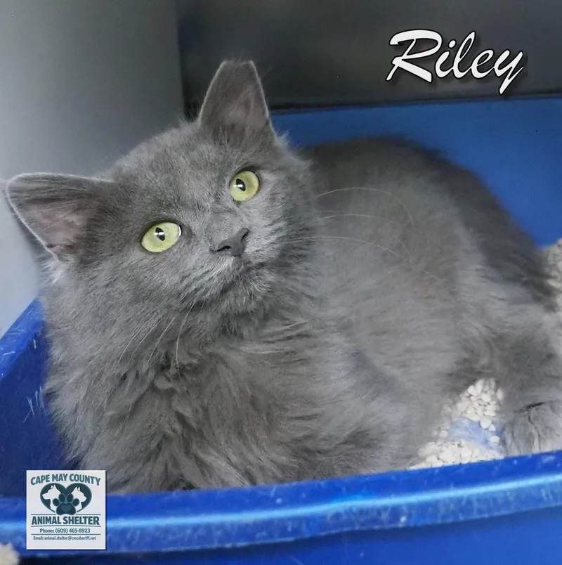 Aaron and Riley thumbnail 3