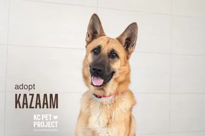 Kazaam thumbnail 2