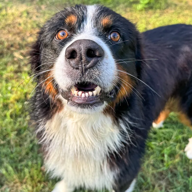 Hudson Is A Hunk