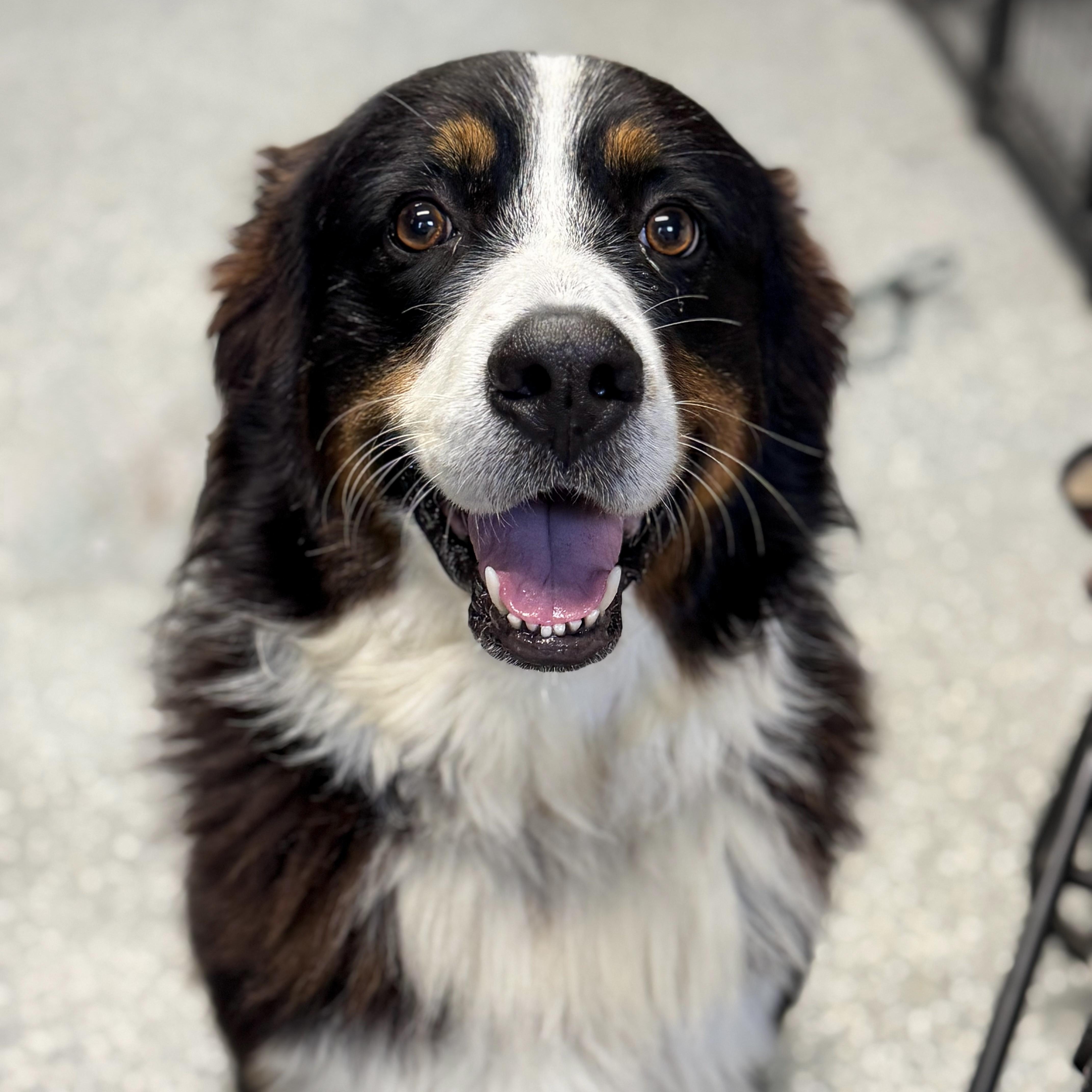 Hudson Is A Hunk thumbnail 3