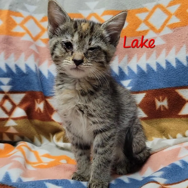 Lake