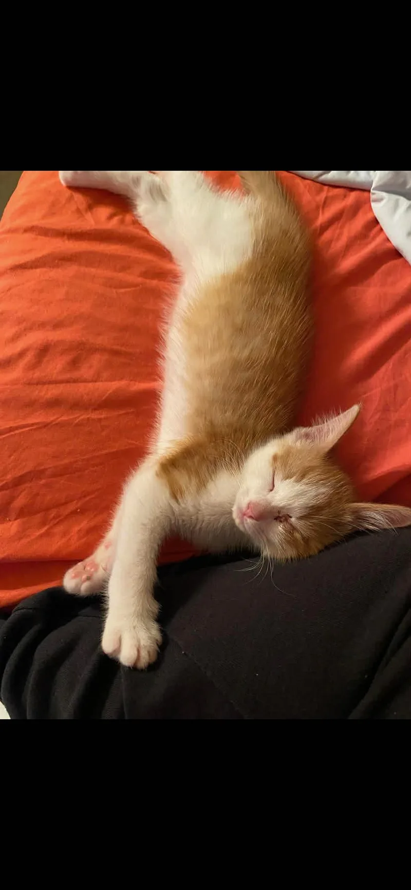 Daisy Lou thumbnail 2