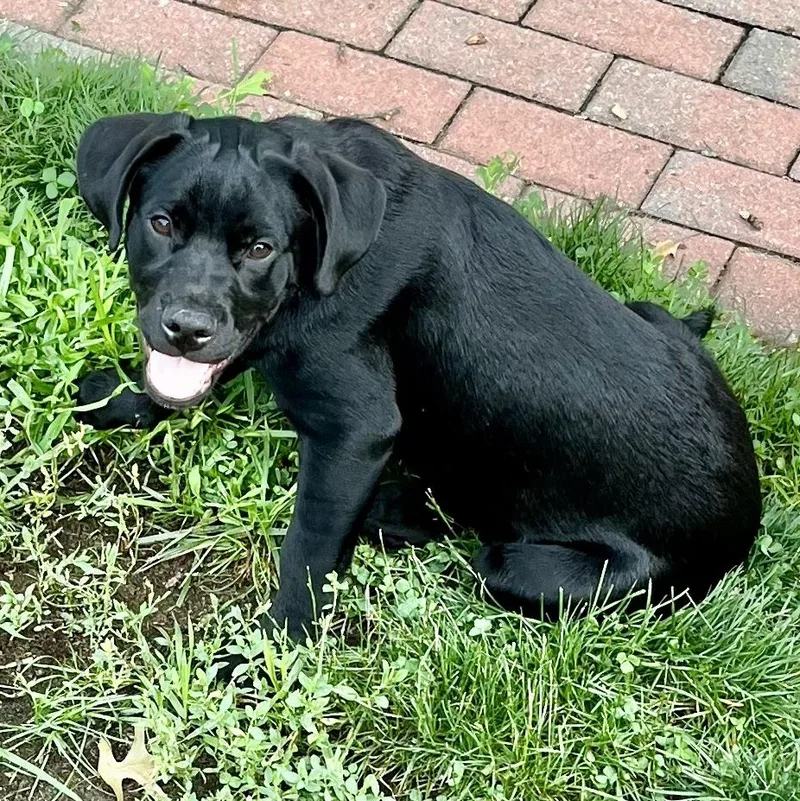 Ruthie
