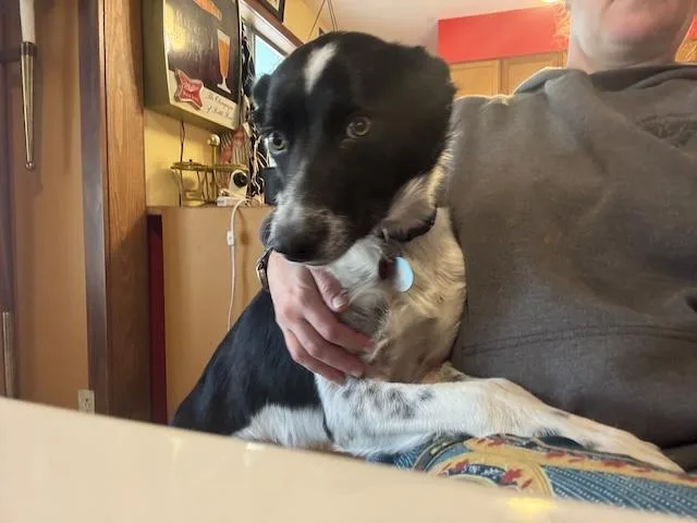 Carmella thumbnail 2