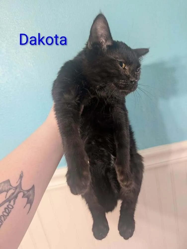 Dakota