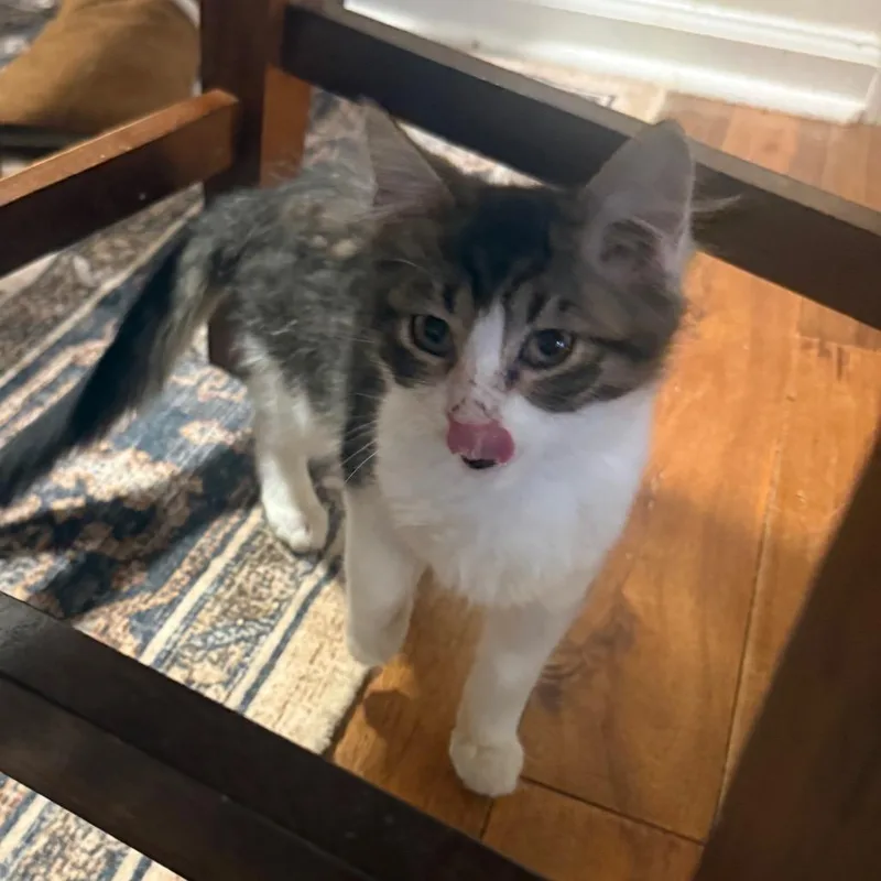 Jelly Belly thumbnail 3