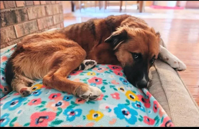 Charlie