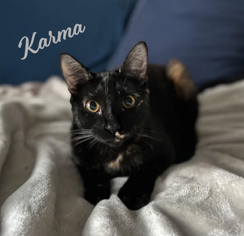 Karma bondedtoJasper thumbnail 2