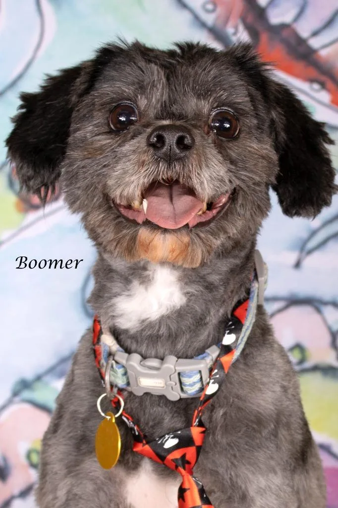 Boomer