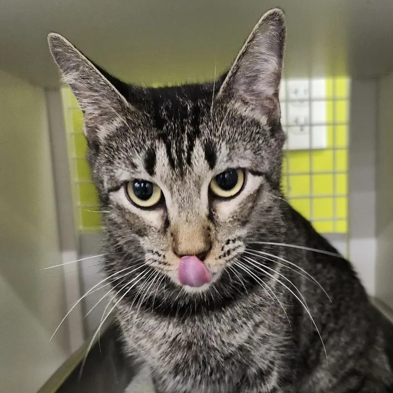 Willie Mae thumbnail 2