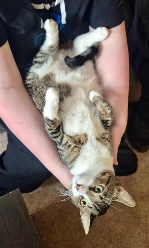 Onyx  Bonded With thumbnail 6