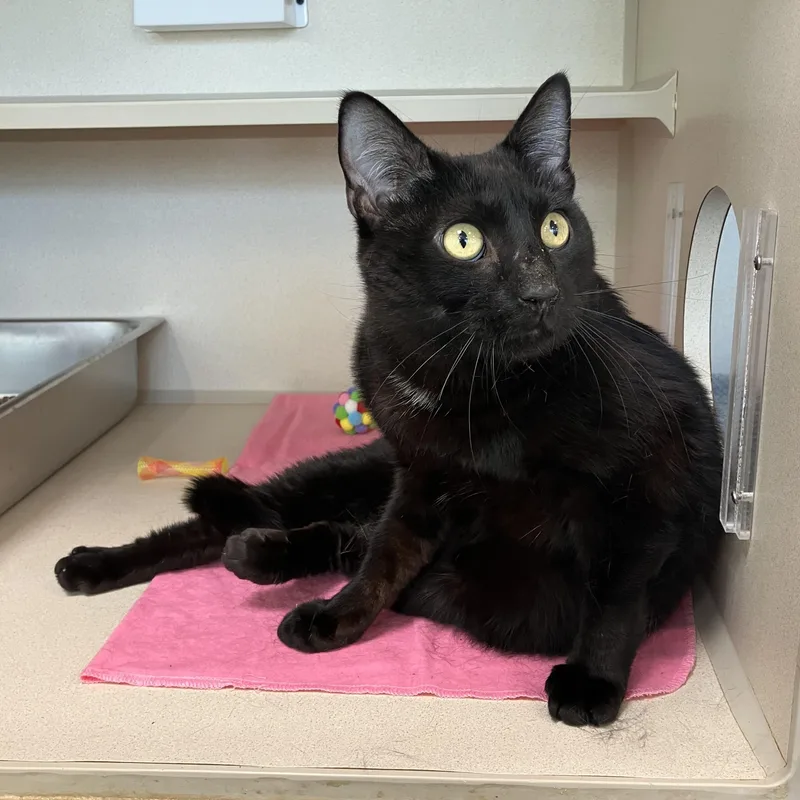 Steve Stevenson thumbnail 2