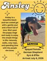 Ansley thumbnail 3