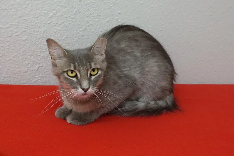Marlene thumbnail 3