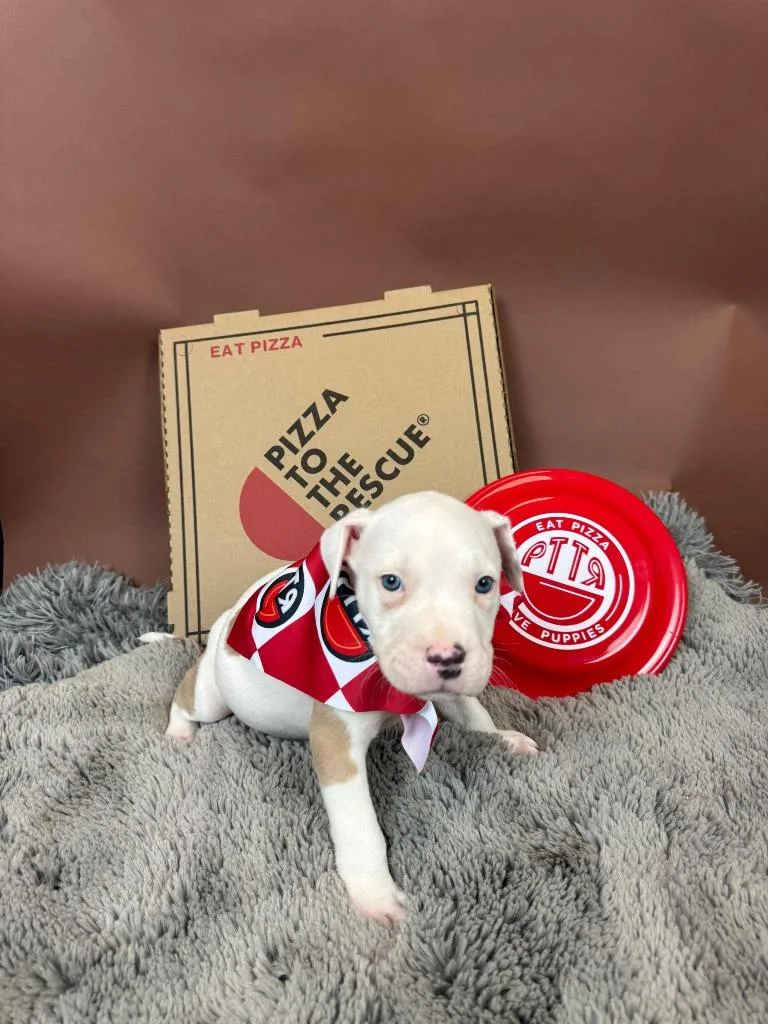 Formaggi thumbnail 3